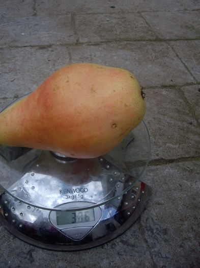 IMGP9035