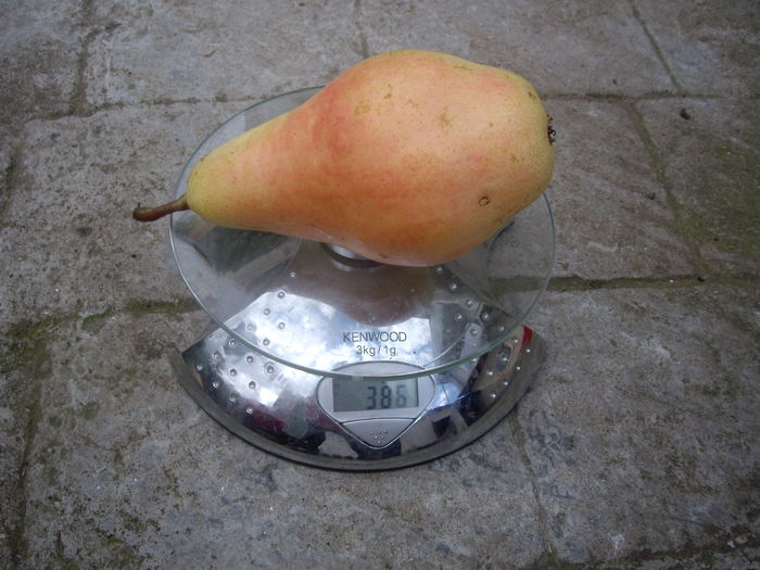 IMGP9037