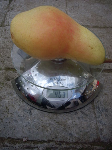 IMGP9039