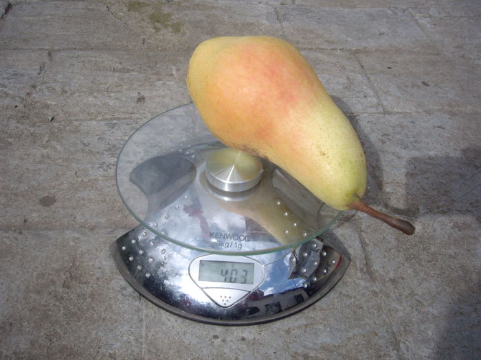 IMGP9045