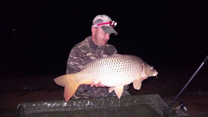 Cetariu octombrie 2015