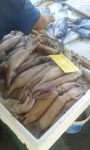 20150905_111748 - Copy