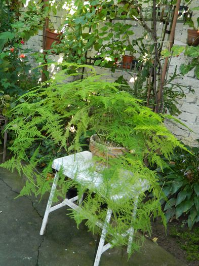 DSCN0318 - 2015_OCTOMBRIE