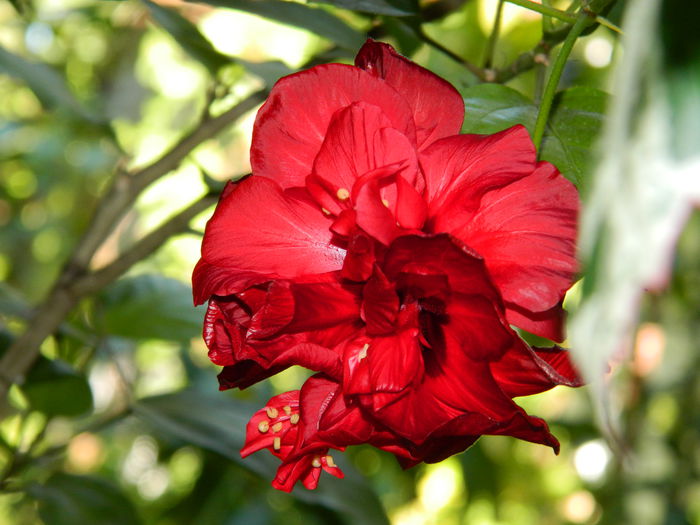 DSCN0336 - 2015_OCTOMBRIE