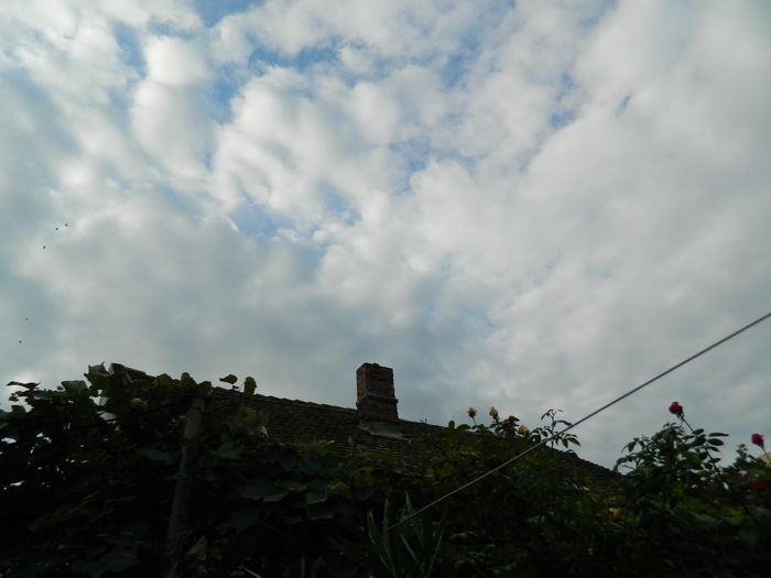 DSCN0492 - 2015_OCTOMBRIE