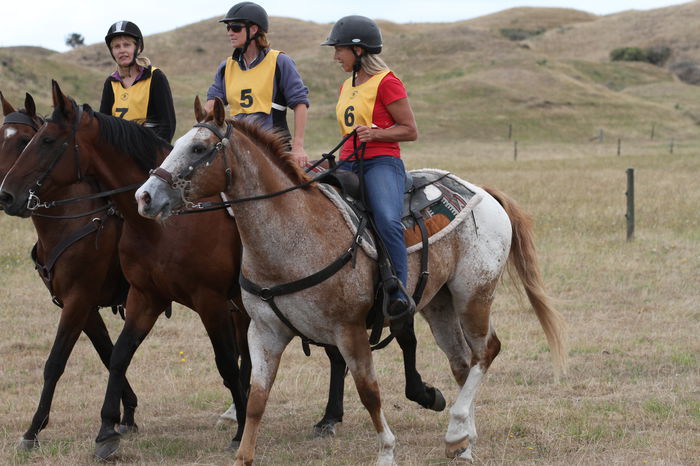 Echitatie cu cai frumosi