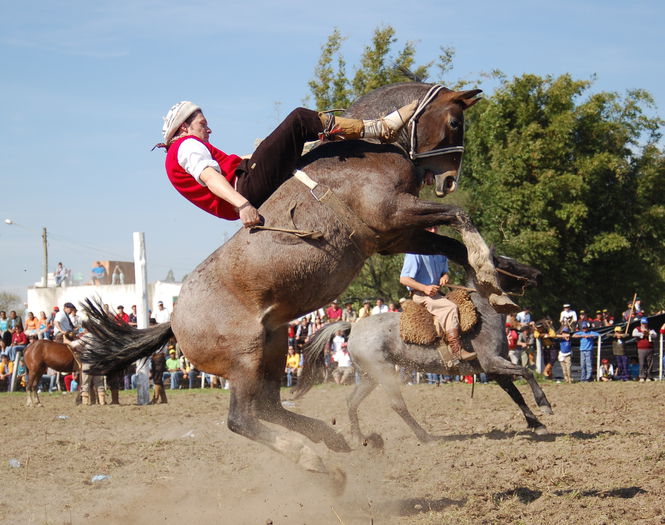 Putin rodeo-3 - CAI DE RASA SI CATEVA OI POZE DEOSEBITE