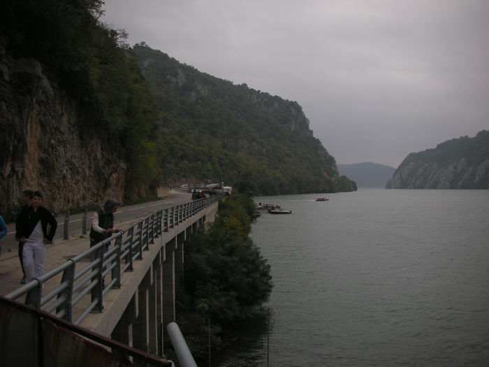 DSCN3011