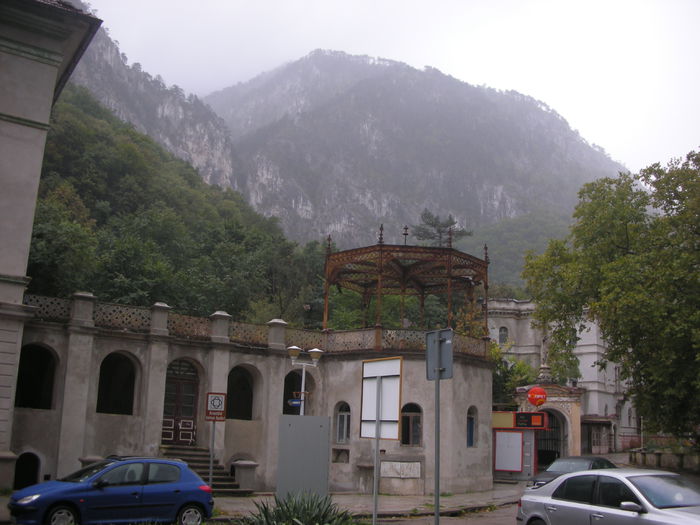 DSCN3029