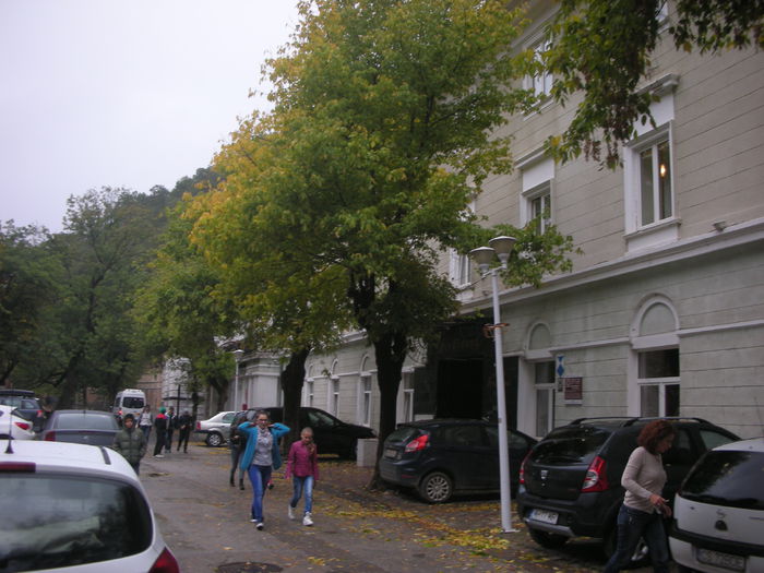 DSCN3030