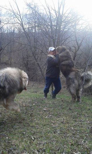 11050869_358839257637196_6716309954278799635_n