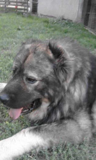 12043031_1637047349904176_2666389919412591160_n