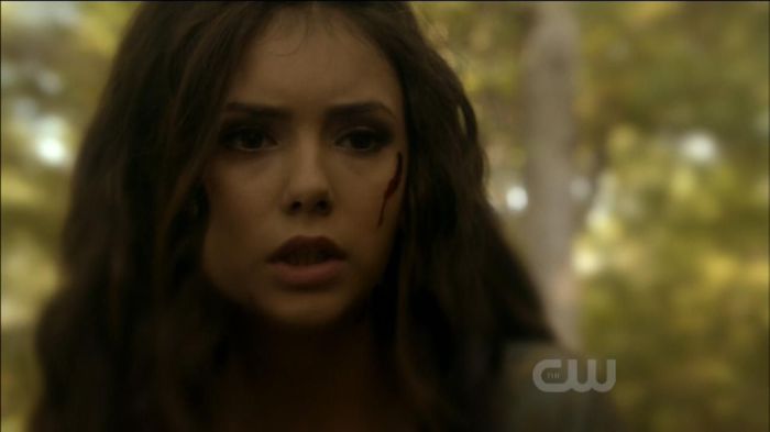 TVD0241 - Katherine Pierce