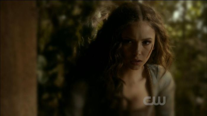 TVD0249 - Katherine Pierce