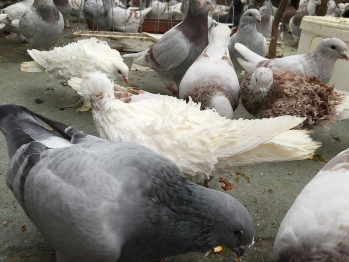 IMG_5157 - Octombrie