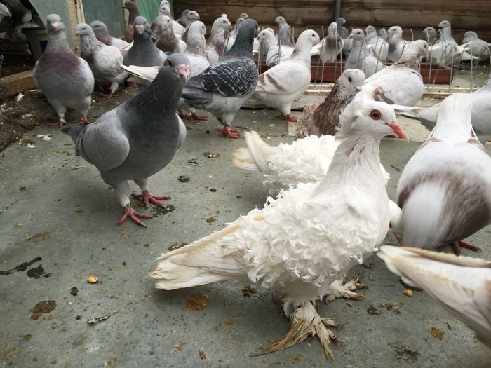 IMG_5159 - Octombrie