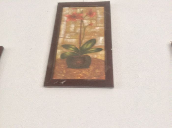 image - Muscate 2015