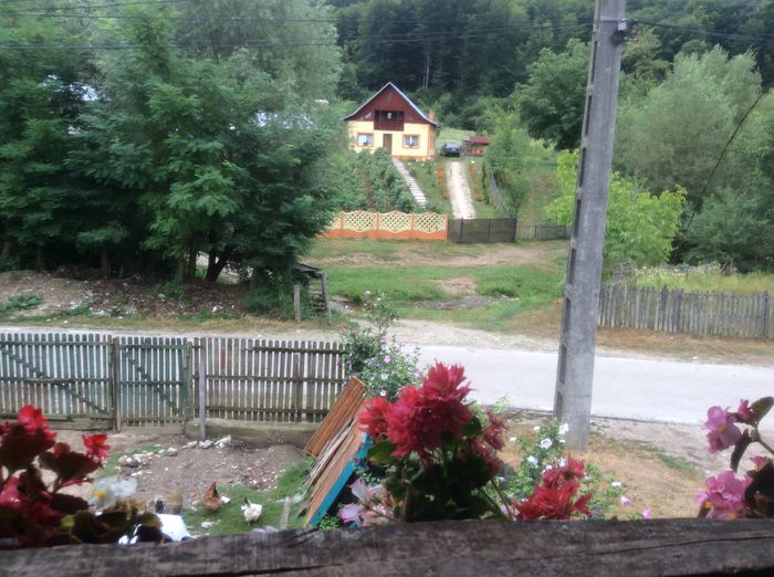 image - Muscate 2015