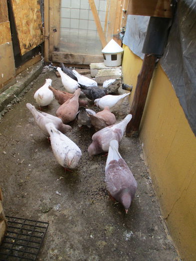 la un desert cu ...rapita :))