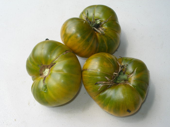 TOMATE CHEROKEE GREEN - TOMATE CHEROKEE GREEN