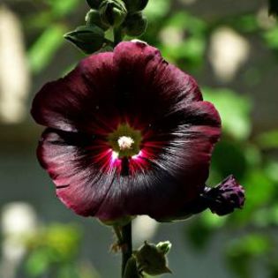 672091_6842203b7ad85e03cca63f1b034937f2_mdsq