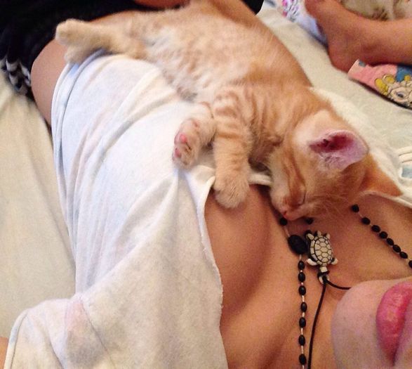 12167104_976062405787586_525349518_n