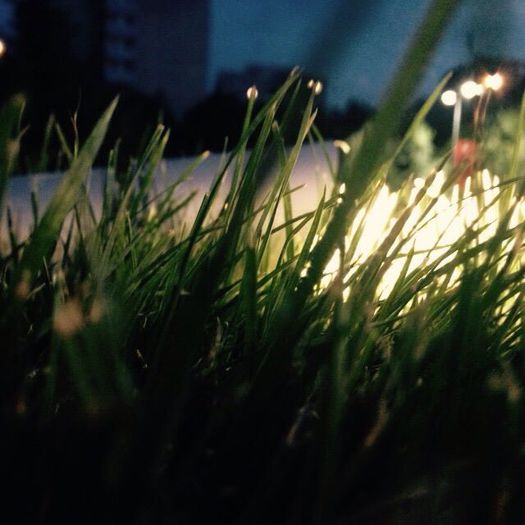 12167104_976062432454250_1970835458_n