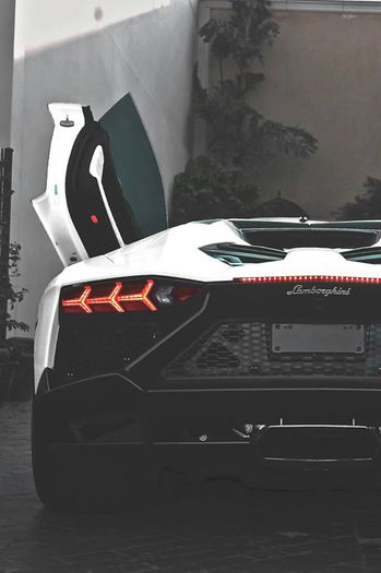 12167629_976062529120907_144059639_n