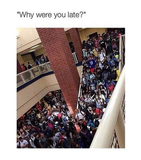 10568011_976069219120238_2079962644_n