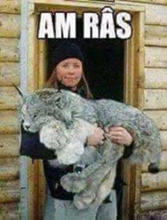 12064133_976069129120247_354089249_n