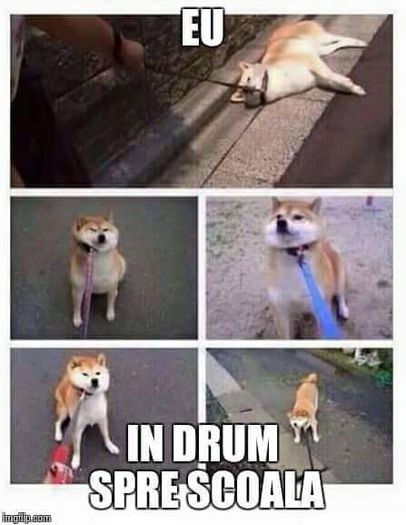 12166184_976069195786907_1072297793_n