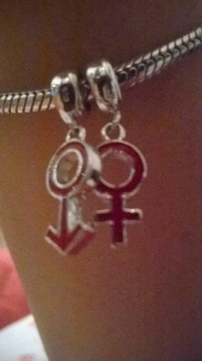 12166936_976069169120243_186995054_n