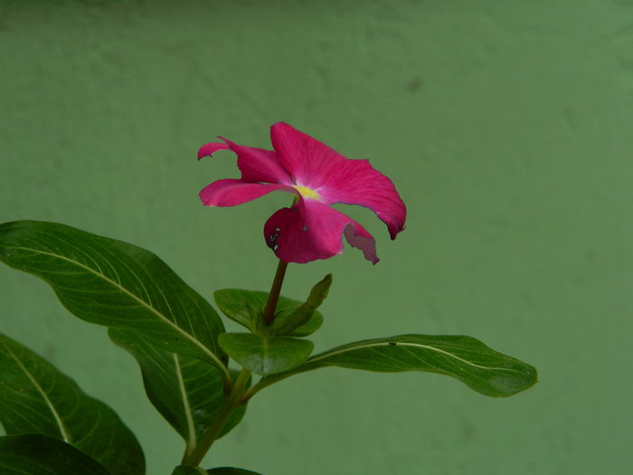 DSCN0928k
