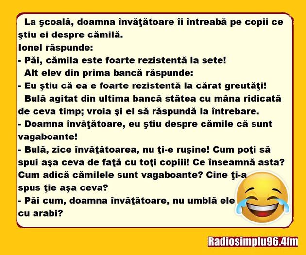 12143091_919703971400428_2824683622915099649_n - Diverse