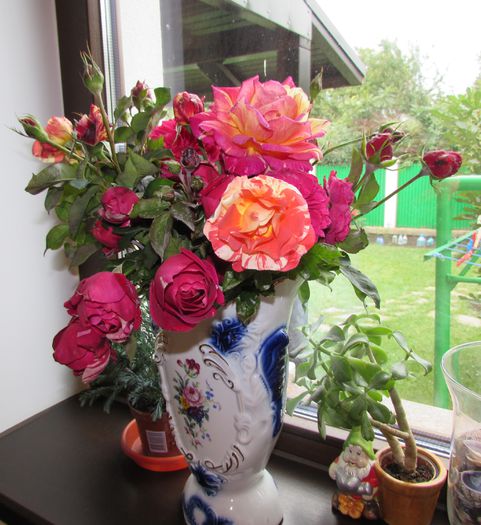 16 octombrie - 2015 plantele mele - III
