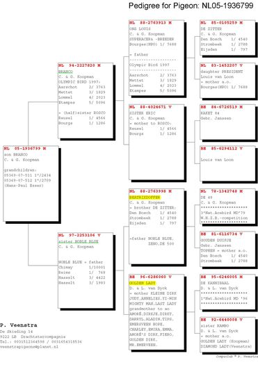 NL05-1936799; pedigree tata
