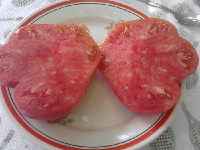  - Caleidoscop de vara 2015