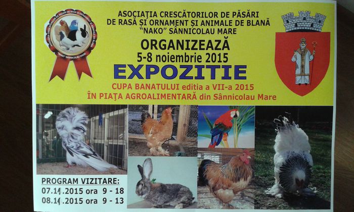 20151016_220456 - ASOCIATIA NAKO ORGANIZEAZA EXPOZITIA CUPA BANATULUI EDITIA a 7a IN DATA DE 5-8 NOIEMBRIE 2015