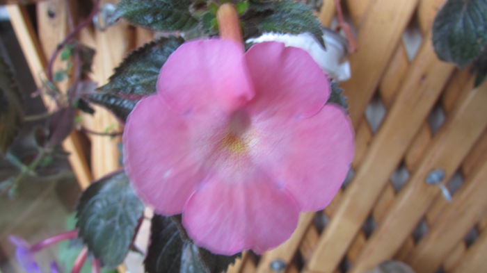 085