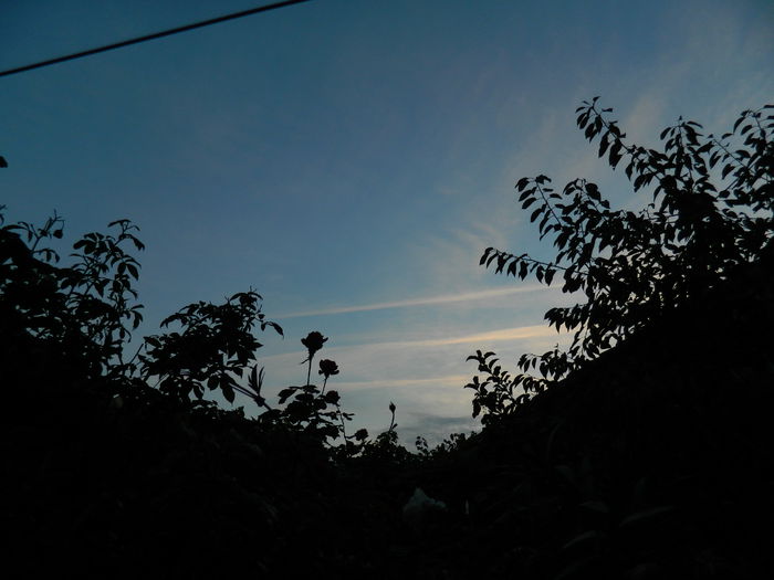 DSCN1009