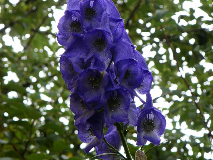 13 oct 022