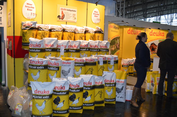 DSC_0044 - HANNOVER  2015