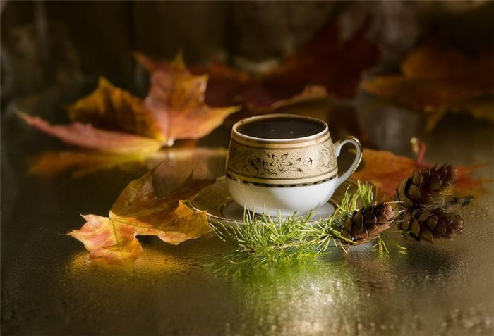 446500__autumn-coffee_p - toamna