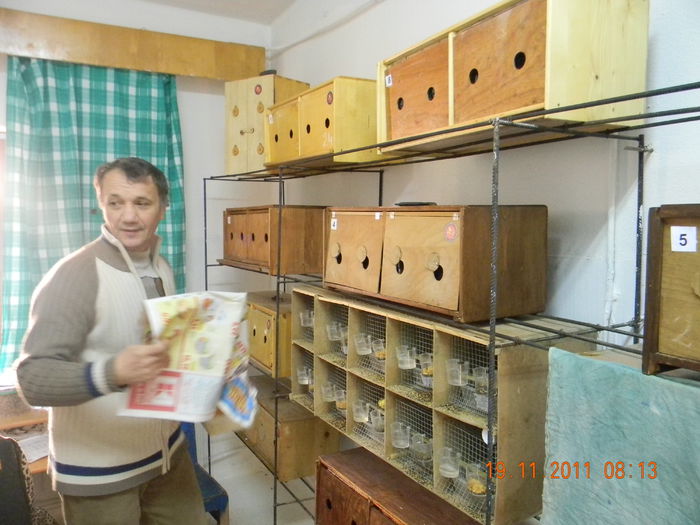 Camera colectiilor - Evaluare Zonala a Canarilor Roller Harz -Constanta-19 Noiembrie 2011