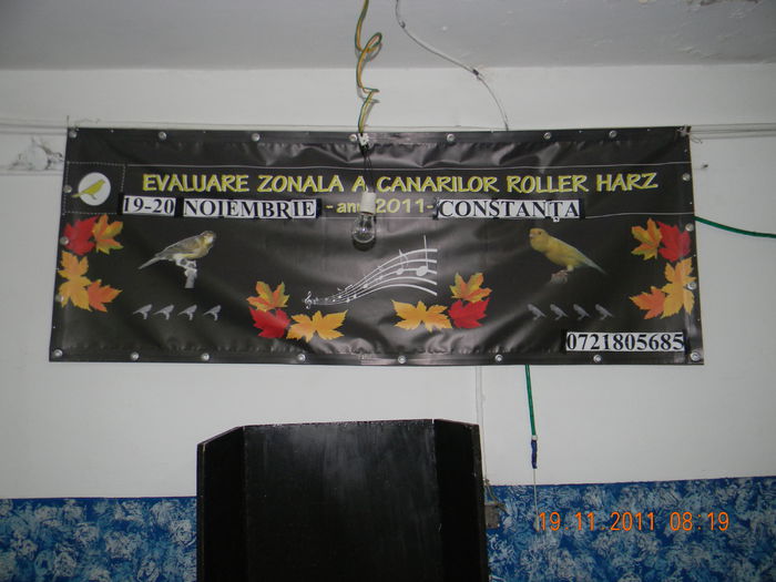 Bener 2011