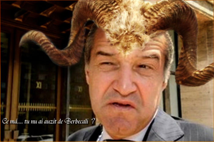 berbecali%202
