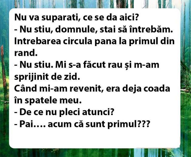 12006278_768714273239113_8441147298875407087_n - Diverse
