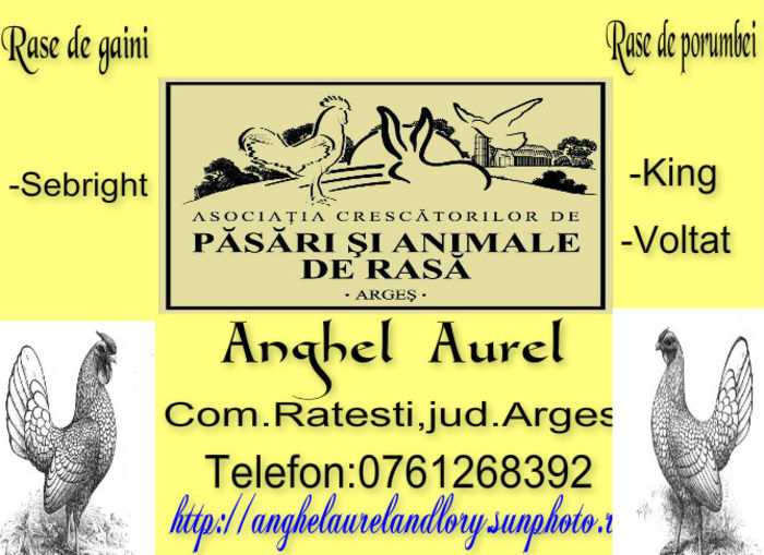 Anghel Aurel - 3 Membri