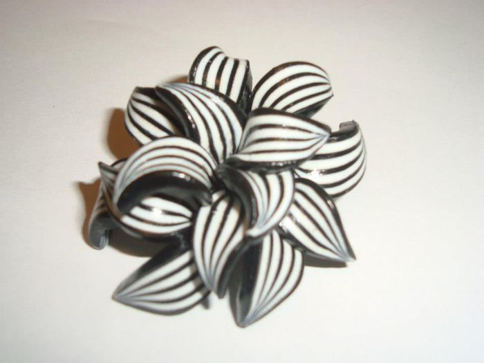 Brosa alb - negru; 15 lei
