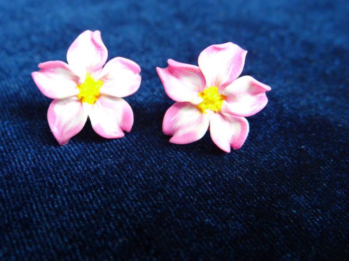 1238774_585270931532346_1017335935_n